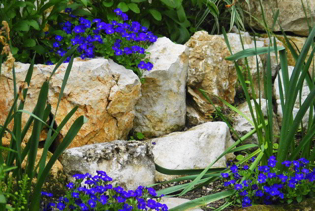 pedras e flores